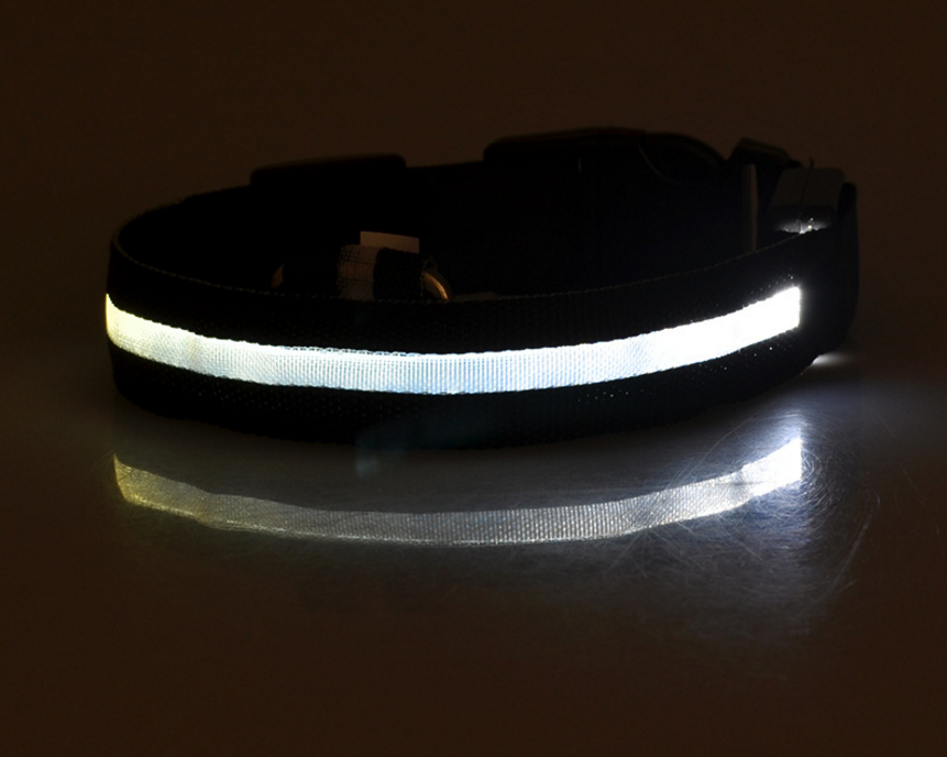 LED-Halsband