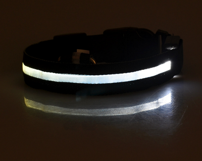 LED-Halsband
