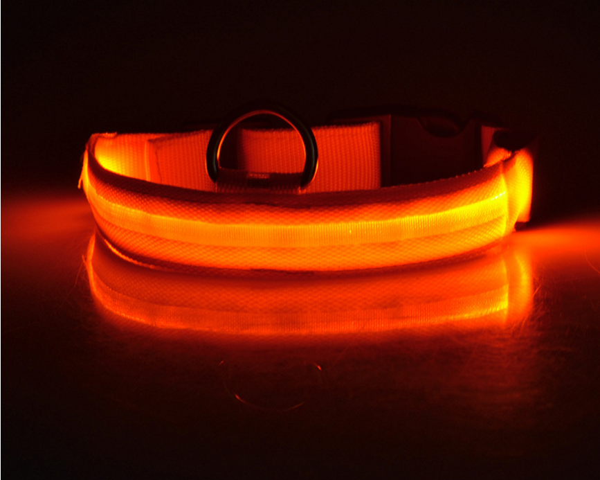 LED-Halsband