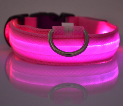 LED-Halsband