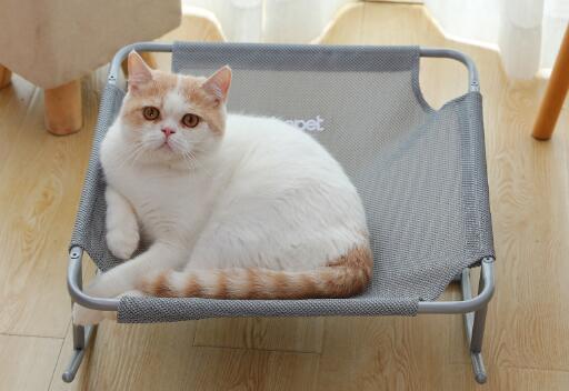 Katzenhöhle Kuschelbett