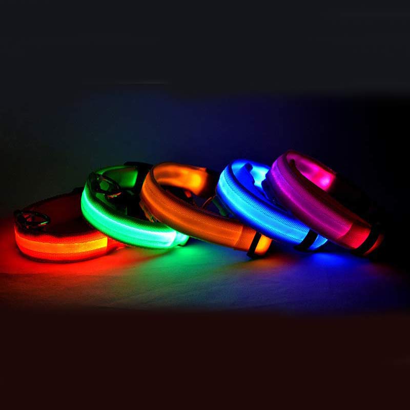 LED-Halsband