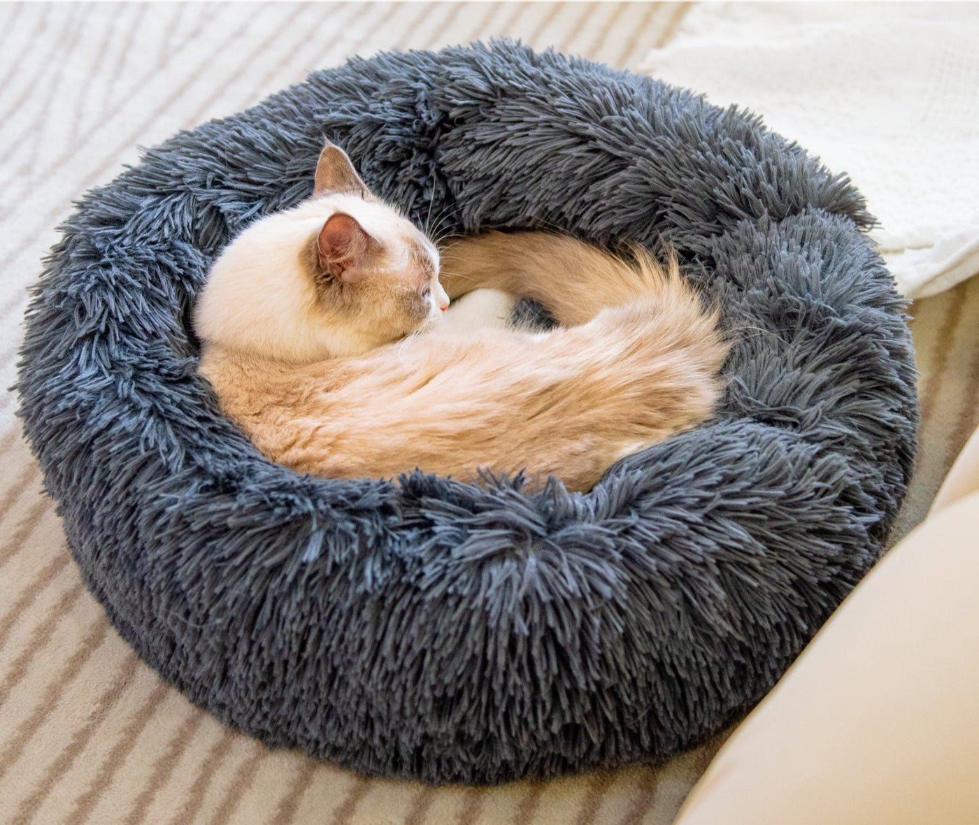 Plush Donut Bett