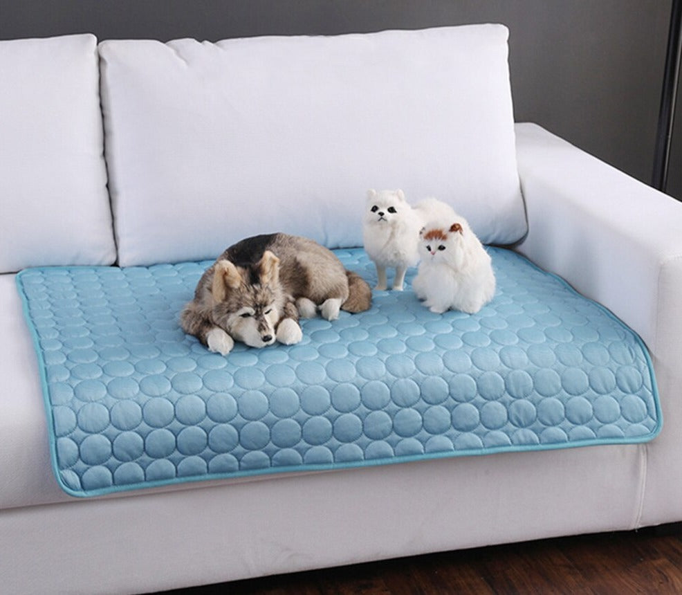 Kühle Matte für Haustiere