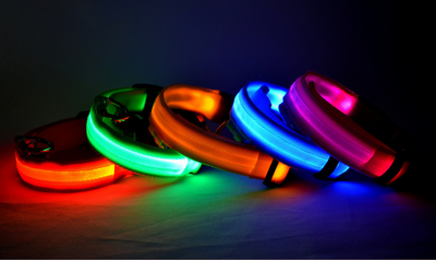LED-Halsband