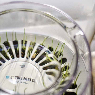 Mund Katzen-Trinkschale