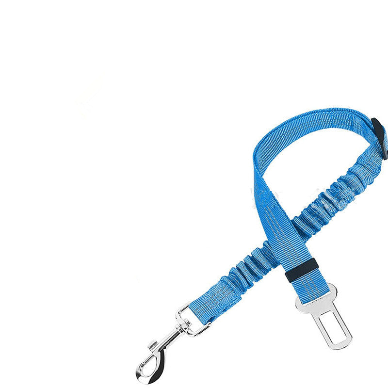 Leine - zum Anschnallen (Auto)