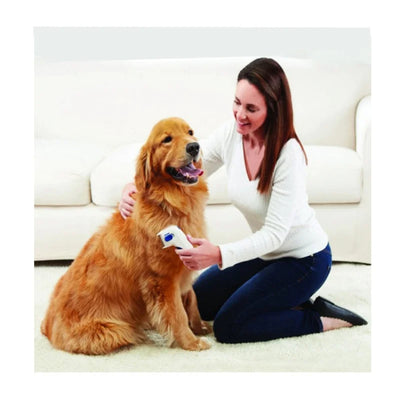 Elektrische Terminator-Bürste für Haustiere.