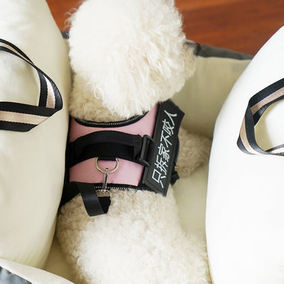 Waschbarer Autositz -  Für Haustiere