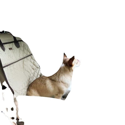 Haustier-Auto-Vorder