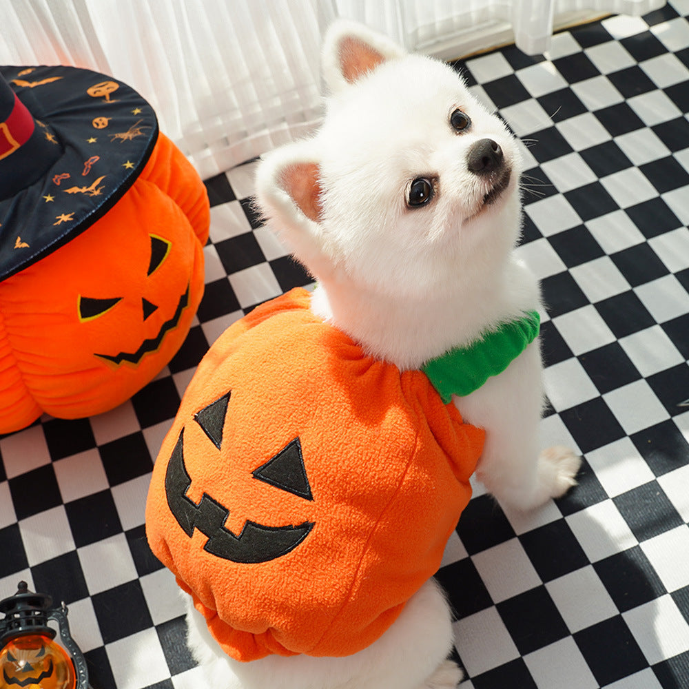 Halloween Pumpkin Für Hund und katze