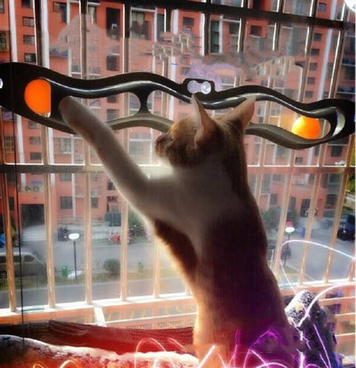 Fensterbank Haustier Spielzeug Katzenkugel