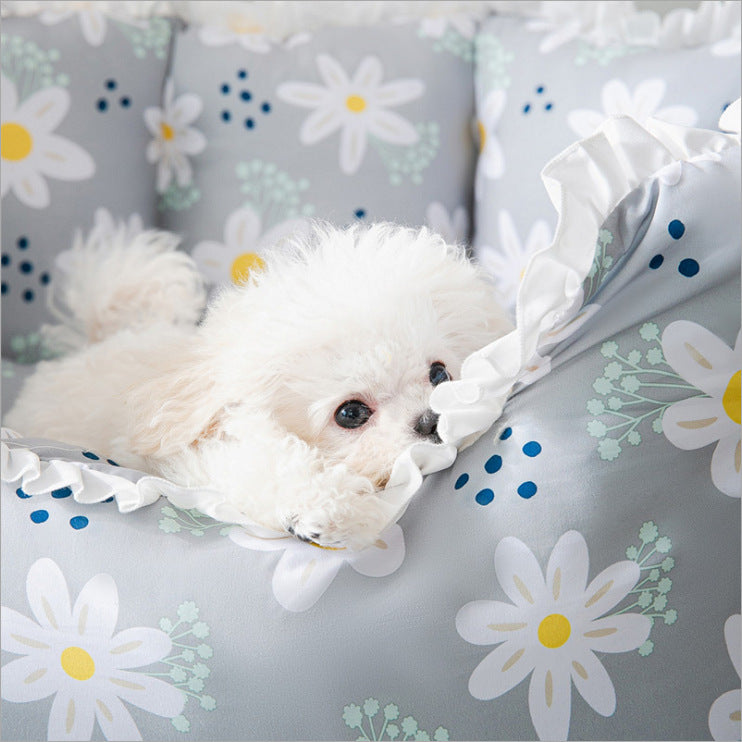 Hundebett und katzen