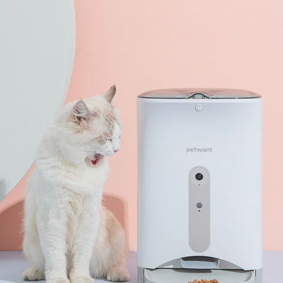 Futterautomat überwacht intelligent die Fütterungszeiten für Katzen