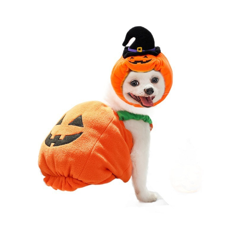 Halloween Pumpkin Für Hund und katze