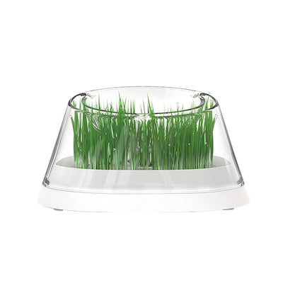 Mund Katzen-Trinkschale